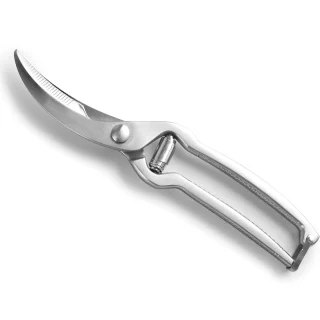 LACOR Tijeras para aves Inox 60066