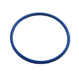 Taurus anillo sellado filtro aspirador Ultimate Digital 09605900